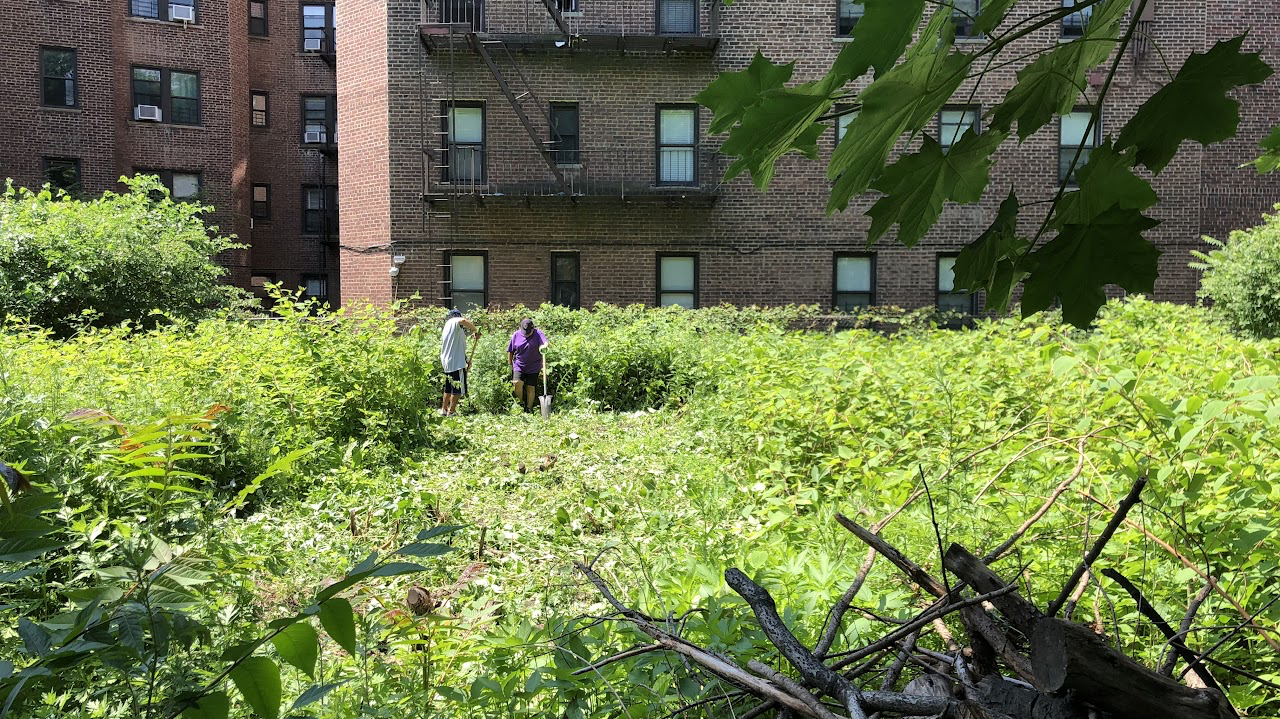 How a Community Garden in Woodside Keeps the Neighborhood Alive