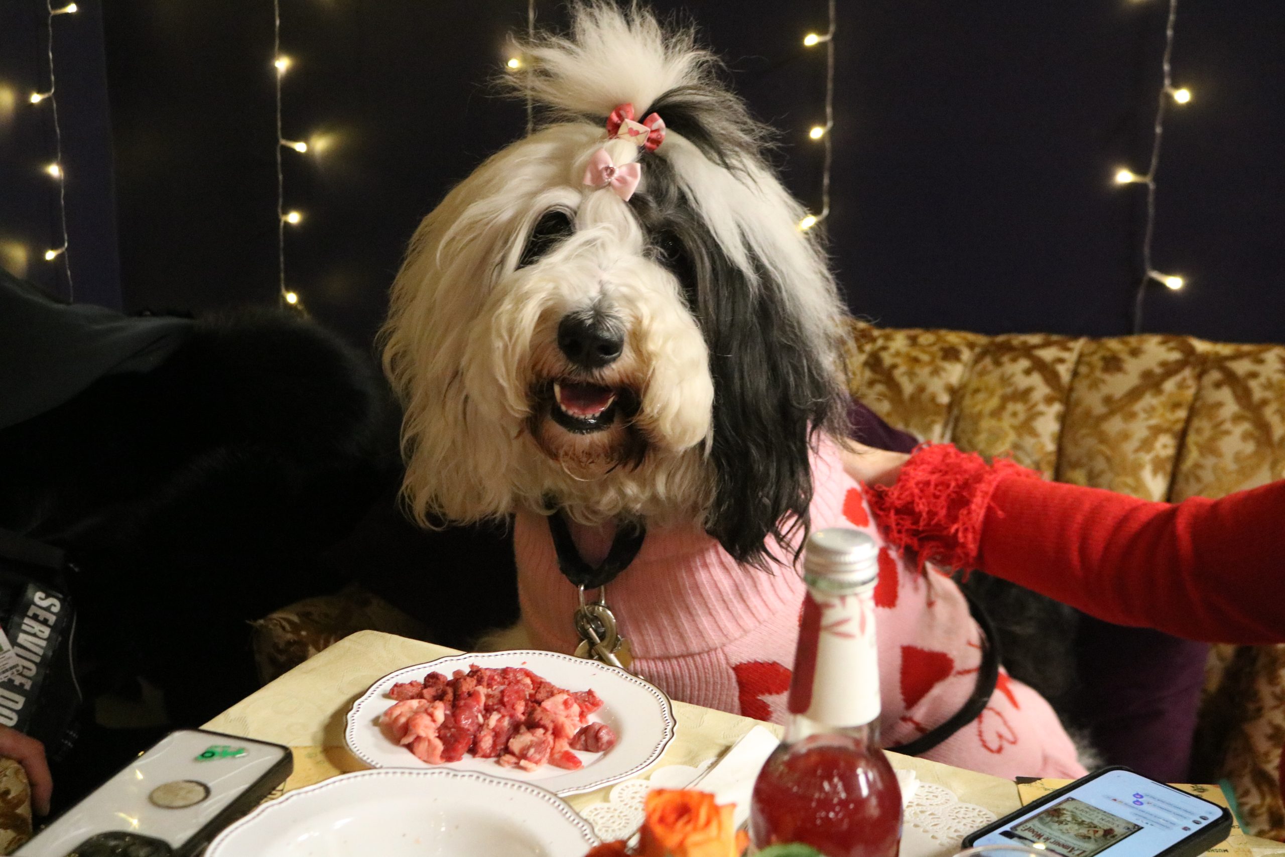 Valentine’s Day At Château le Woof