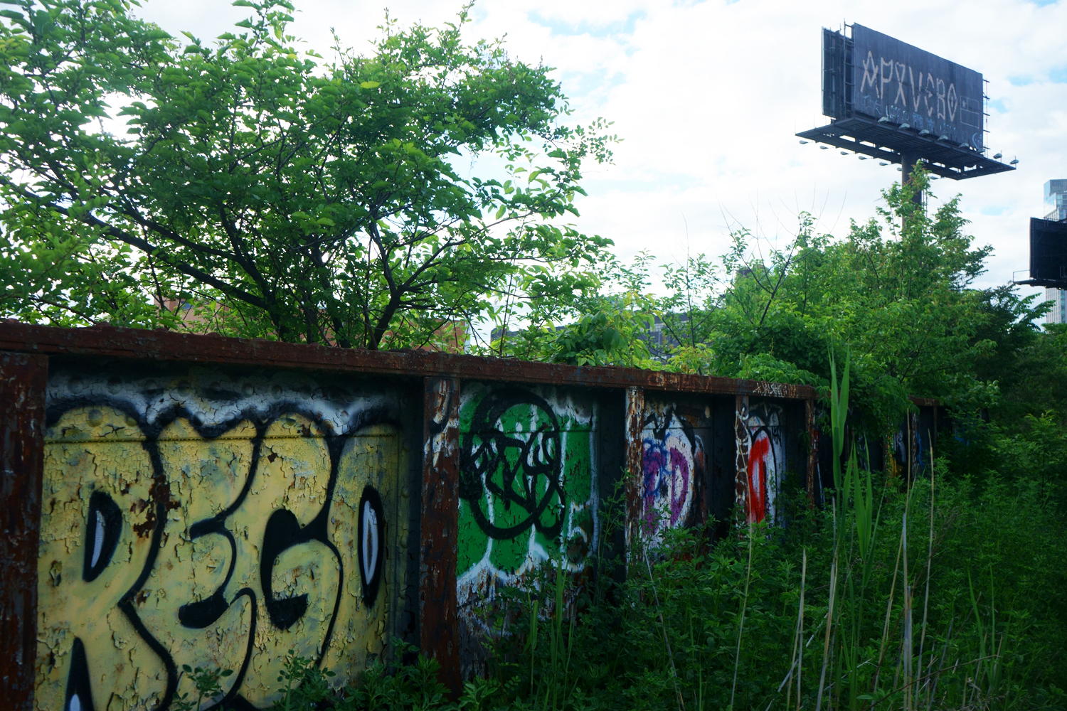 Walking the Dutch Kills Loop with Newtown Creek Alliance